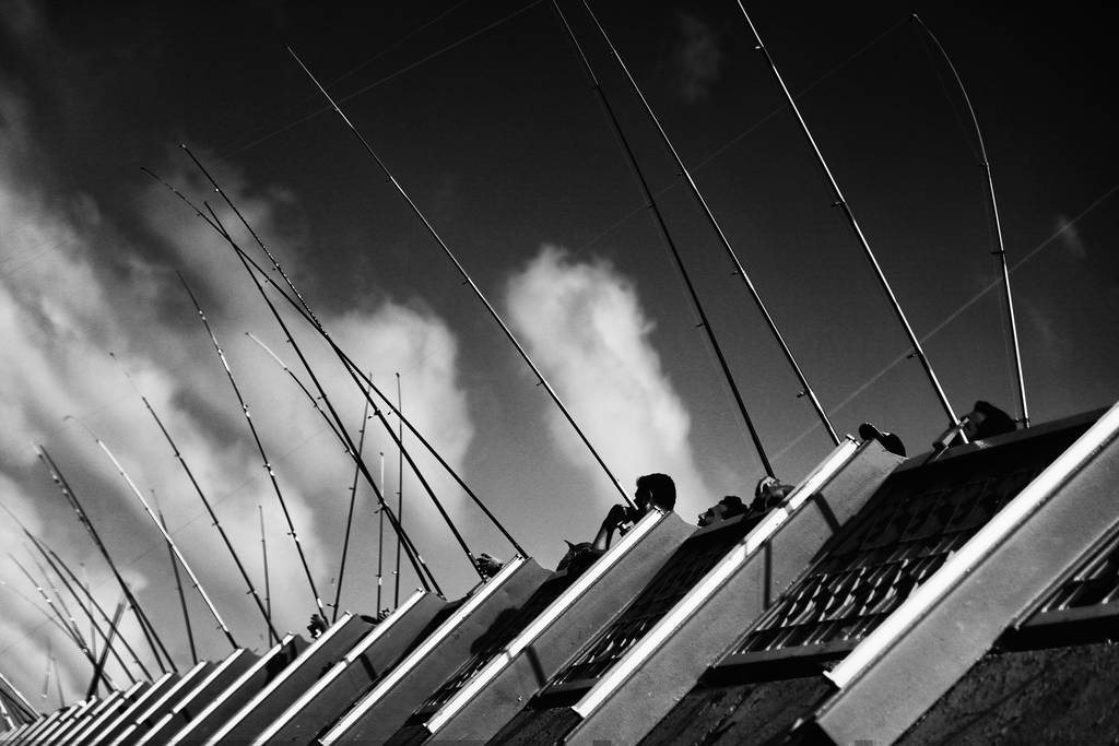 Kompozisyonda Ritim ve Uyum 11 IMG 1659edit