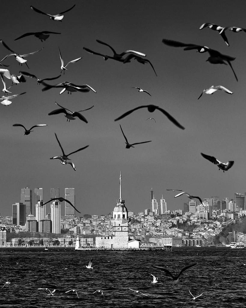 Kompozisyonda Ritim ve Uyum 6 kızkulesi