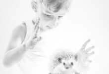 sinan demirdaş sergi header