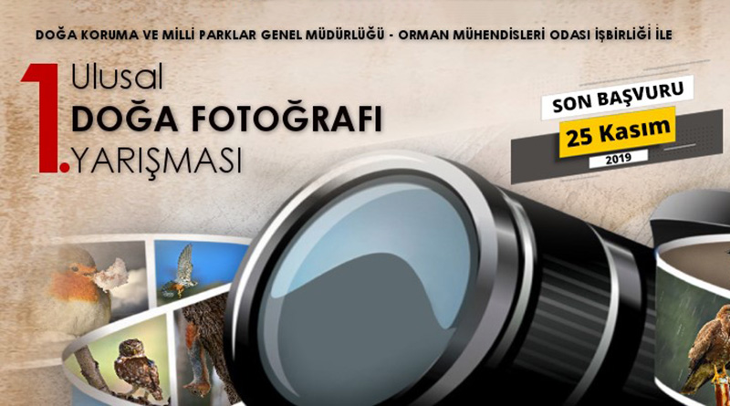 "Türkiye'nin Yaban Hayatı" Fotoğraf Yarışması 1 türkiyenin yaban hayatı fotoğraf yarışması header