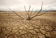 çölleşme ve hayat fotoğraf yarışması