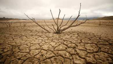 çölleşme ve hayat fotoğraf yarışması