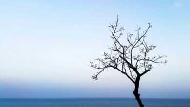 Fotoğrafta Minimalizm header