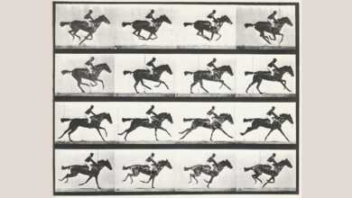 muybridge 640x506
