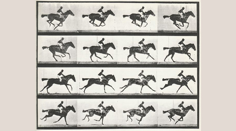 İçinden Fotoğraf Geçen Filmler 1 muybridge