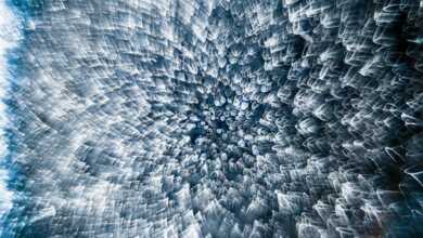 2019 Nikon Small World Fotoğraf Yarışması 6 small world 2019 header