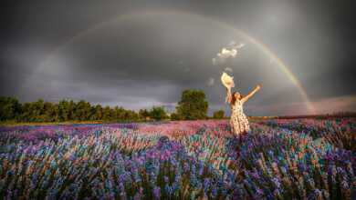 trakyada hayatın enerjisi header