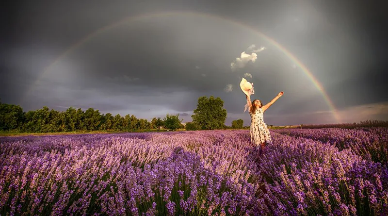 trakyada hayatın enerjisi header jpg