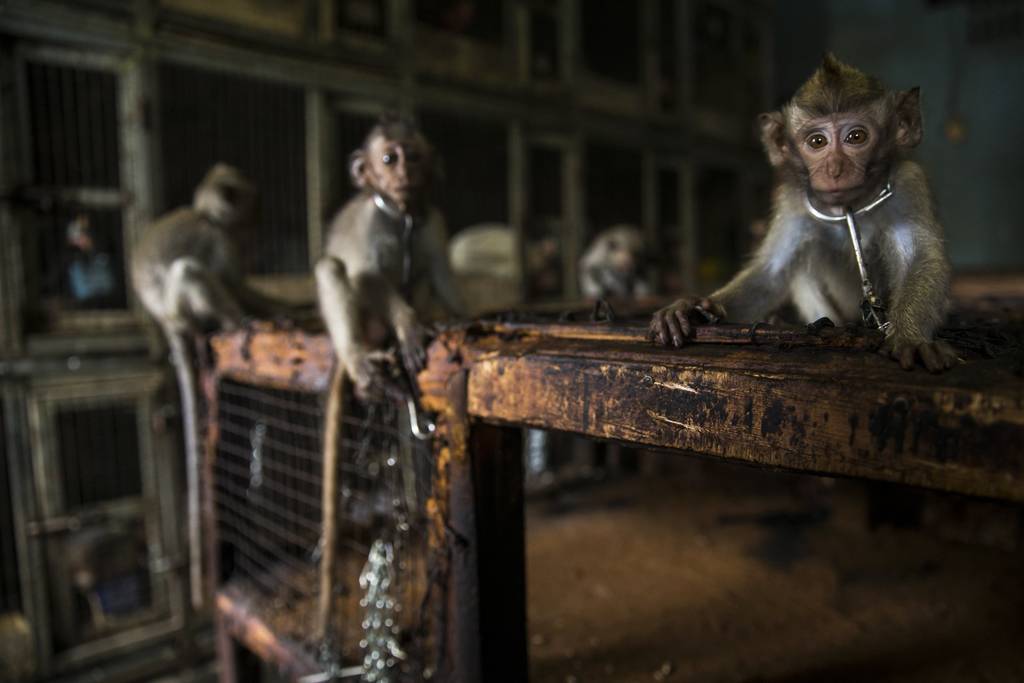 Yılın Doğa Fotoğrafçısı 2019 44 Kopie van NPOTY 2019 C08 67022 Man and nature winner Lonely Luke Massey