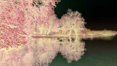 Kızıl Ötesi Fotoğrafçılığı 3 köheader