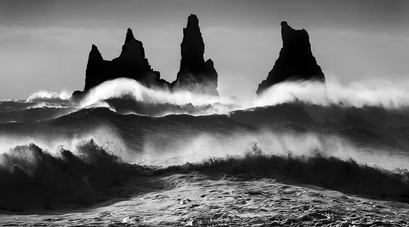 Uluslararası Monovision Fotoğraf Yarışması 2020 1 monovision2020 jpg