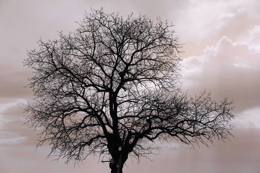 Kızıl Ötesi Fotoğrafçılığı 6 sekil4KÖ