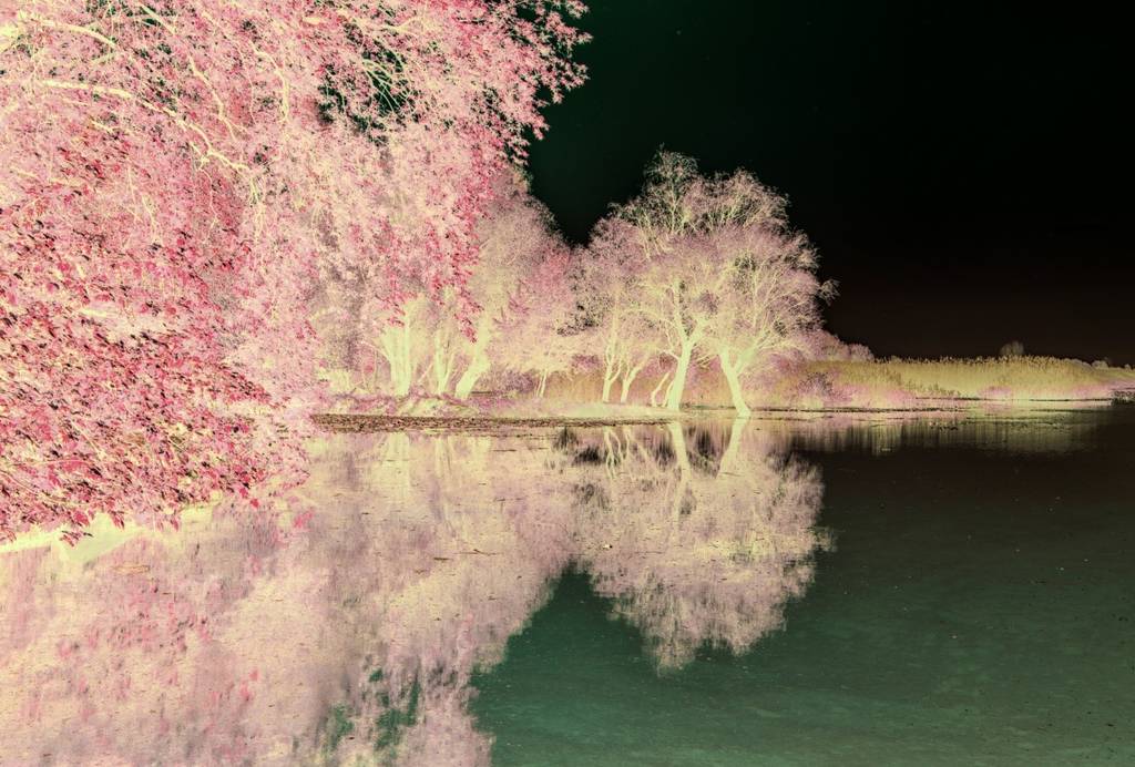Kızıl Ötesi Fotoğrafçılığı 10 sekil8KÖ
