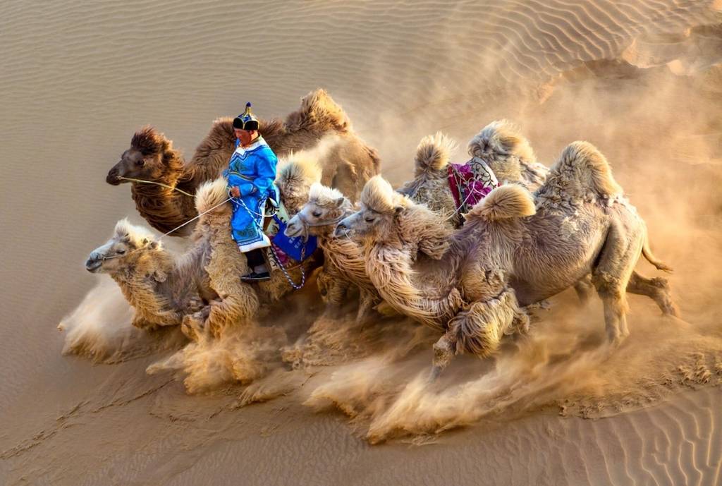 Siena Uluslararası Fotoğraf Ödülleri 2019 15 sipa photo contest 2019 17