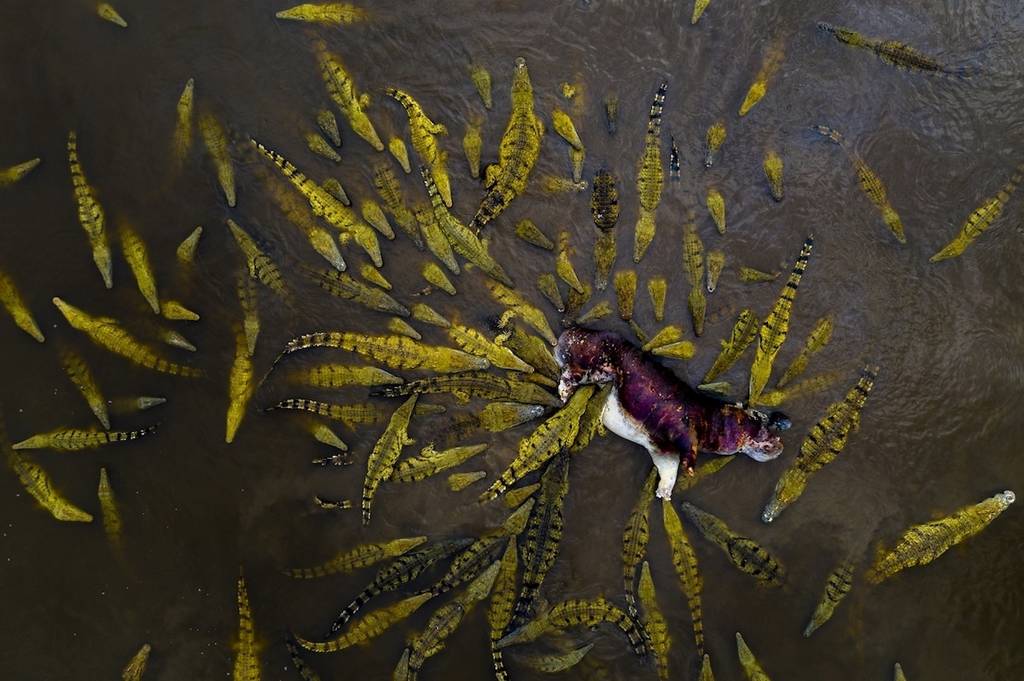 Siena Uluslararası Fotoğraf Ödülleri 2019 4 sipa photo contest 2019 3