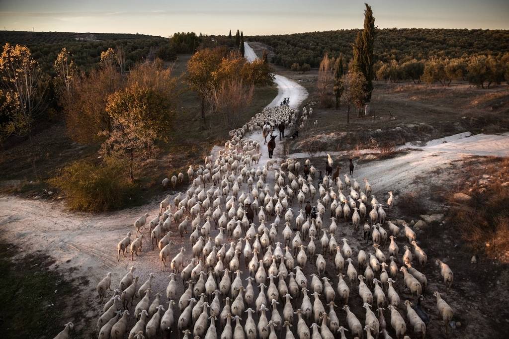 Siena Uluslararası Fotoğraf Ödülleri 2019 5 sipa photo contest 2019 4