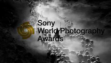 Sony Fotoğraf Yarışması 2020 10 sony photo awards 2020