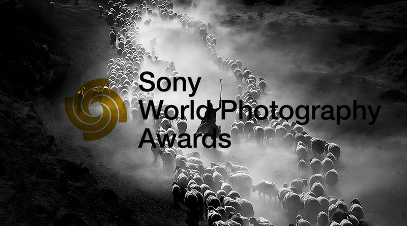 sony photo awards 2020