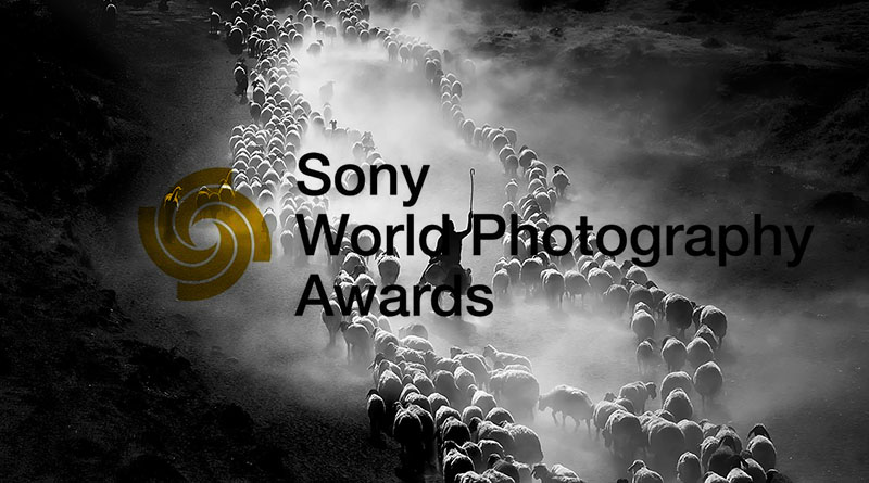 Sony Fotoğraf Yarışması 2020 1 sony photo awards 2020