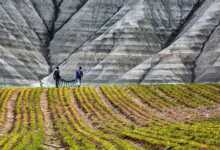 Tarım Sigortaları Havuzu (TARSİM) Fotoğraf Yarışması 2 tarsim 2019 header