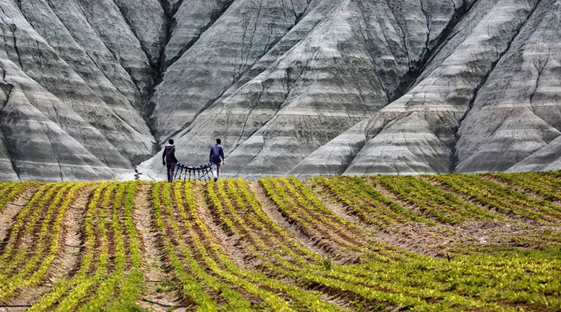 Tarım Sigortaları Havuzu (TARSİM) Fotoğraf Yarışması 1 tarsim 2019 header jpg