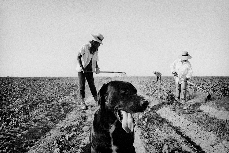 Matt Black : Yoksullaştırılmış Hiçliğe Mahkum Edilmiş Halkların Fotoğrafçısı 3 002 cal362025