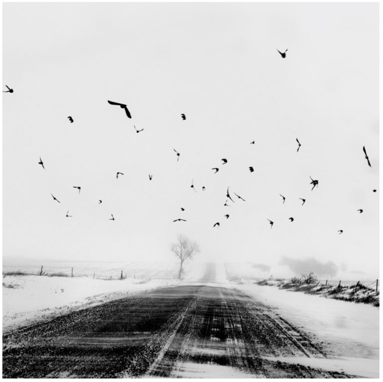 Matt Black : Yoksullaştırılmış Hiçliğe Mahkum Edilmiş Halkların Fotoğrafçısı 4 1 PSoLXvfkFhYqqEft7nneZg 768x767 1