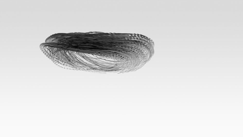 Xavi Bou : Ornithographies 7 4 Ornitography 123