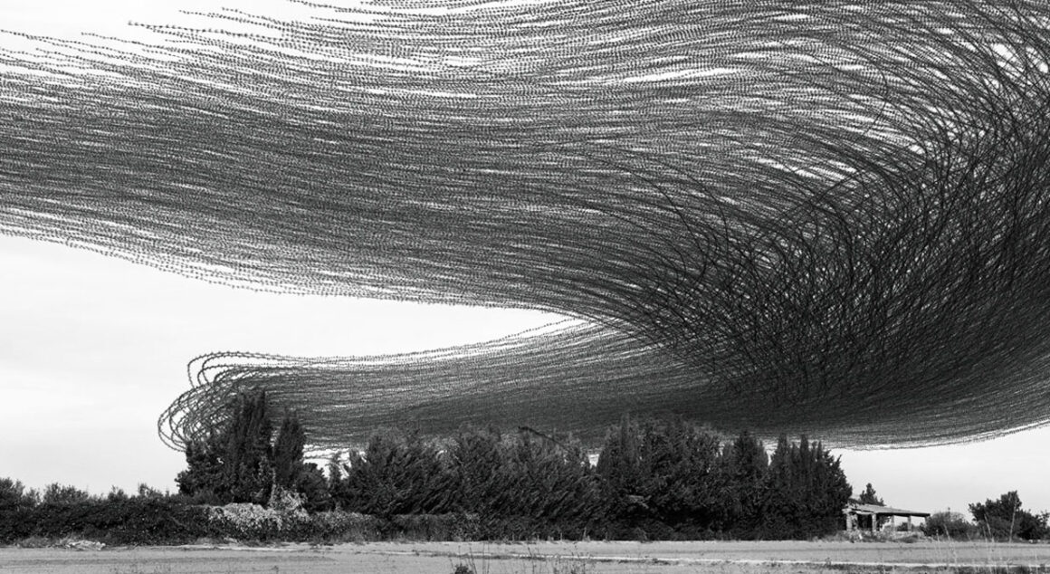 Xavi Bou : Ornithographies 2 Ornithography 062