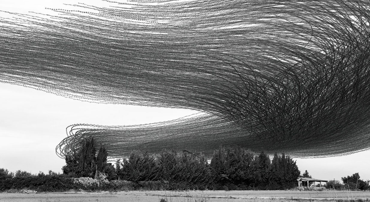 Xavi Bou : Ornithographies 1 Ornithography 062