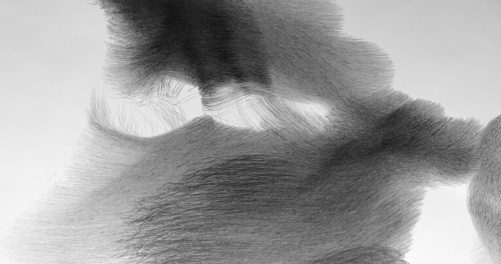 Xavi Bou : Ornithographies 14 Xavi Bou Ornitography 130