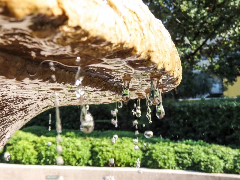 close up of water drops