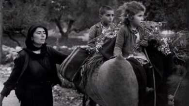 constantine manos header