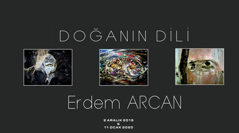 doğanın dili header