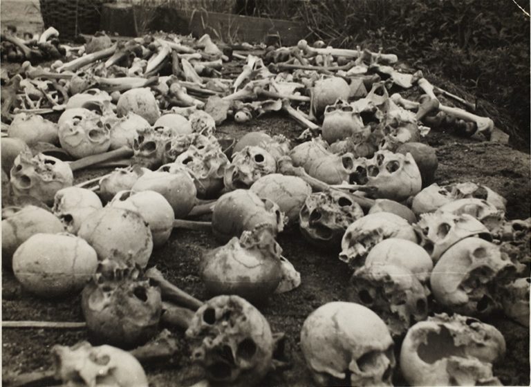henryk ross skulls bones 768x560 1