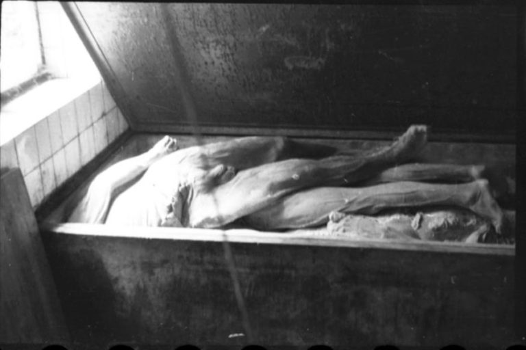 Henryk Ross : Gettoda Fotoğrafçı Olmak 11 holocaust lodz ghetto secret photography henryk ross 43 1 768x512 1
