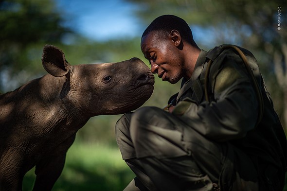 Wildlife Photographer of the Year 2019 Finalistlerini Açıkladı! 10 © Martin Buzora Wildlife Photographer of the Year