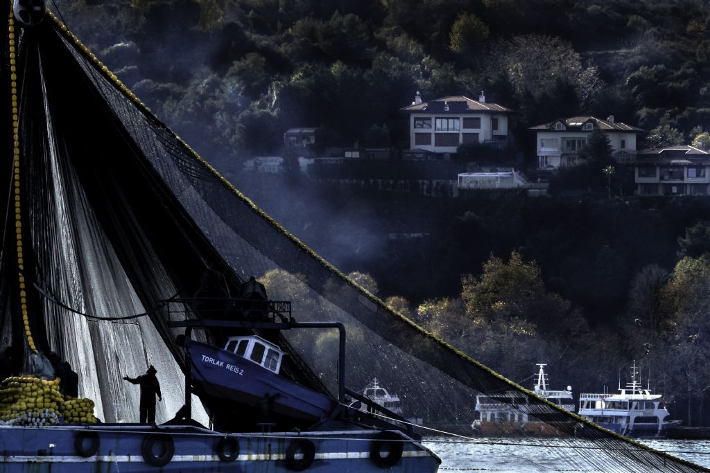 Sarıyer Belediyesi Ulusal Fotoğraf Yarışması 2019 7 45484 422 tfsf s9D03