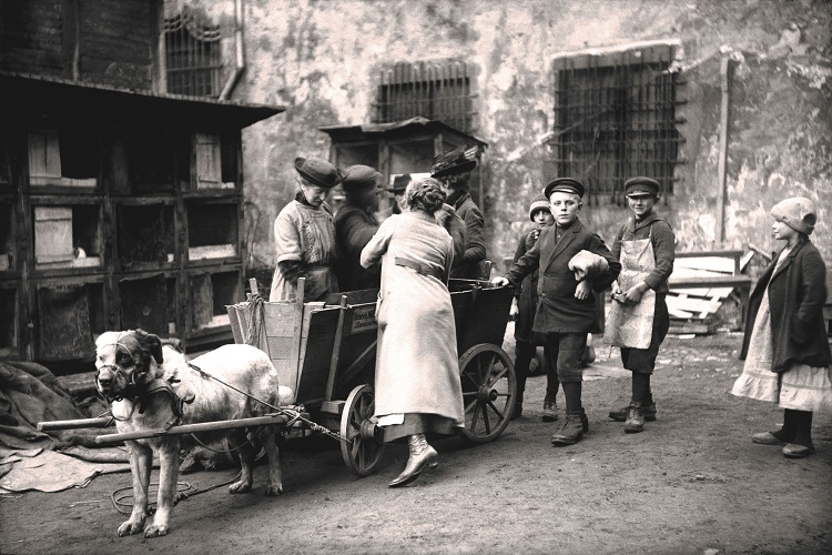 Kathe Buchler : Savaş Alanlarının Ötesinde Bir Kadın fotoğrafçı 2 5a6f031d745d7