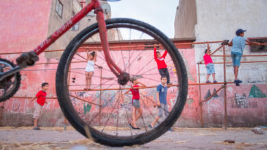 01 wheel of life 2017 1