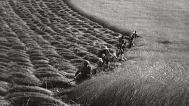 Erno Vadas header min 1