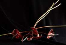 Ani Çelik Arevyan, “Işık Etüdü” 11 Ani Çelik Arevyan header