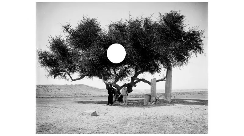 Basma Alsharif A Philistine Bir Filist header jpg