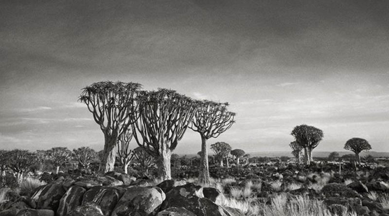 Beth Moon header