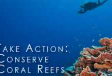 Science Without Borders header