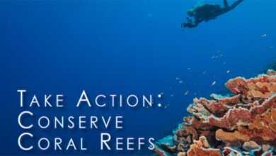 Science Without Borders Fotoğraf Yarışması 4 Science Without Borders header