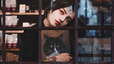 Sony Dünya Fotoğrafçılık Ödülleri 2020 header