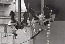 Pepi Merisio : Yalın Bir Dünyanın kapılarını Aralayan Sanatçı 18 pepi merisio header