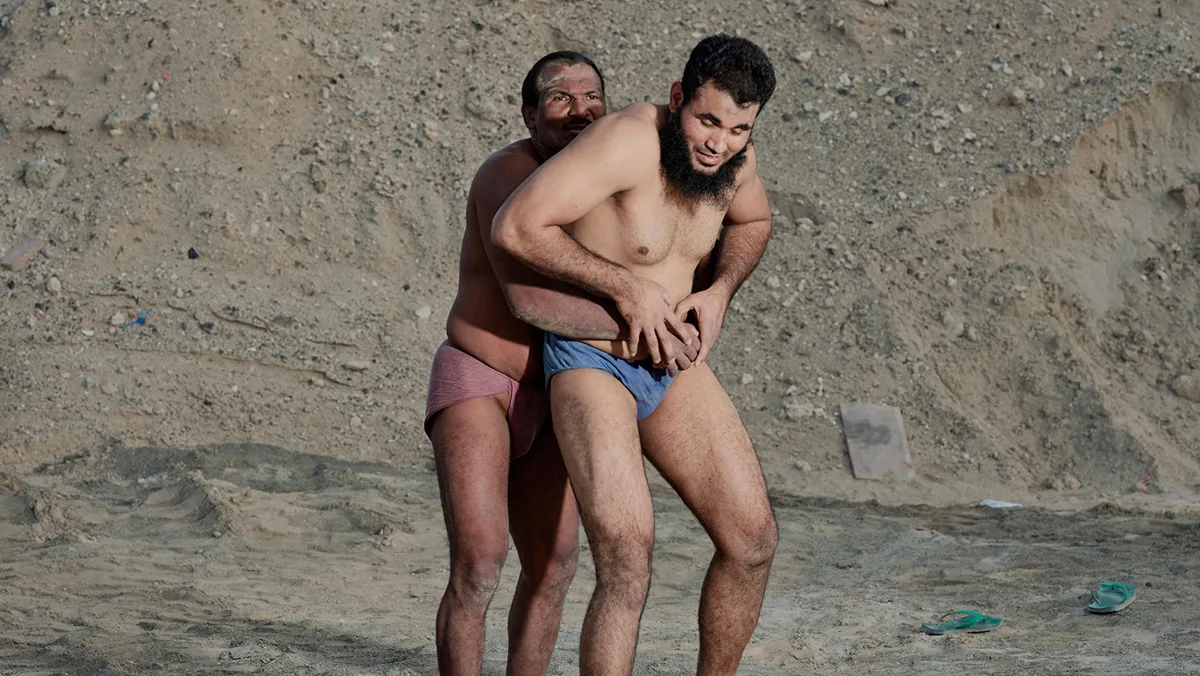 polly tootal header 1200 jpg