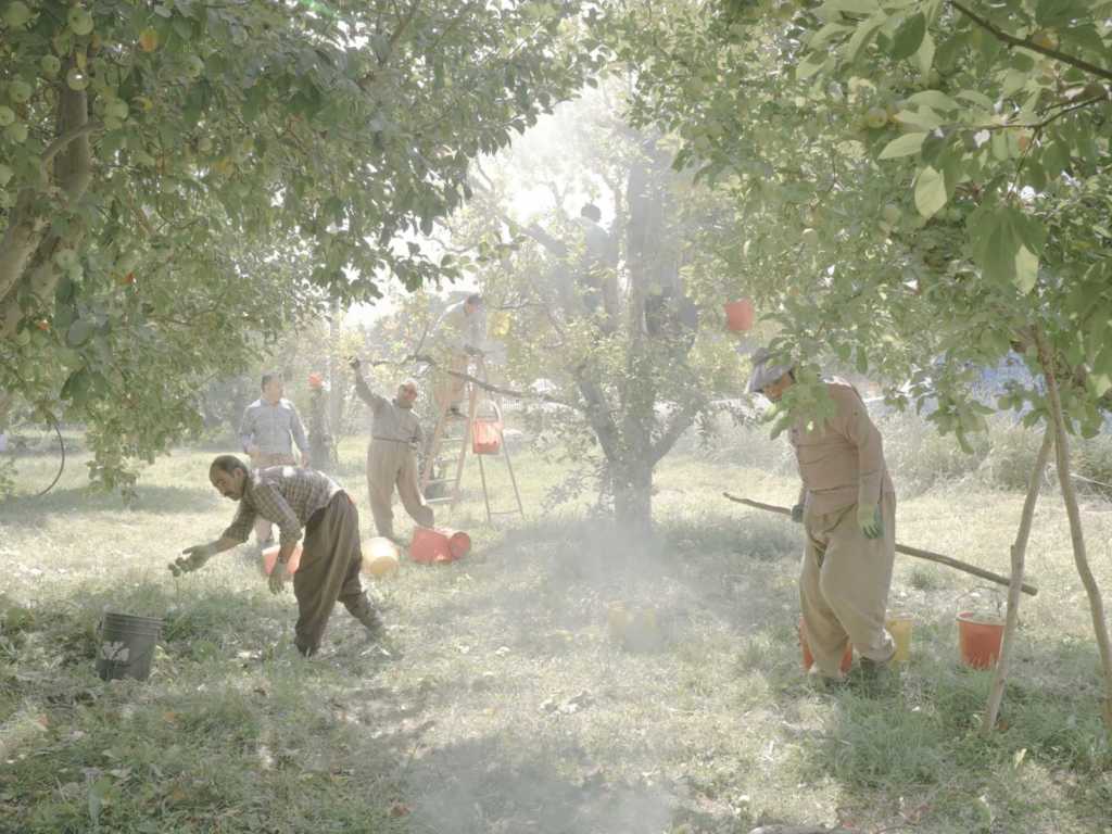 2020 World Press Photo Kazananları 8 054 Maximilian Mann DOCKS Collective scaled